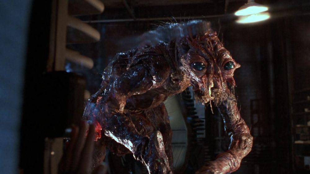 The Fly (dok. Brooksfilms/The Fly)