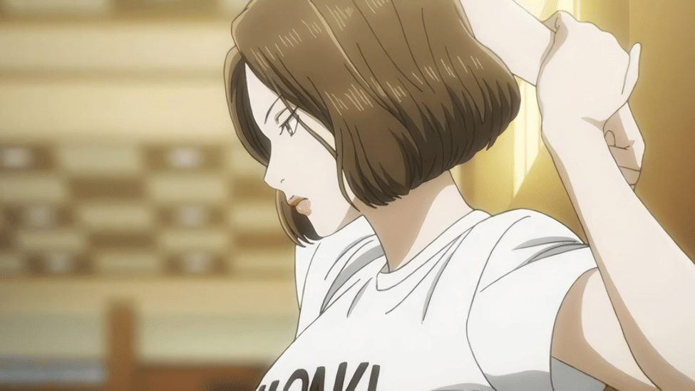 dok. Madhouse/ Chihayafuru