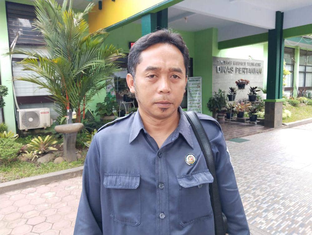 Kordiv Penanganan Pelanggaran Data dan Informasi Bawaslu Tulungagung, Mohammad Syafiq Ansori. IDN Times/ Bramanta Pamungkas