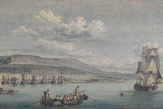 ilustrasi pelabuhan di Pulau Saint-Domingue (commons.wikimedia.org/Jeanne Françoise)