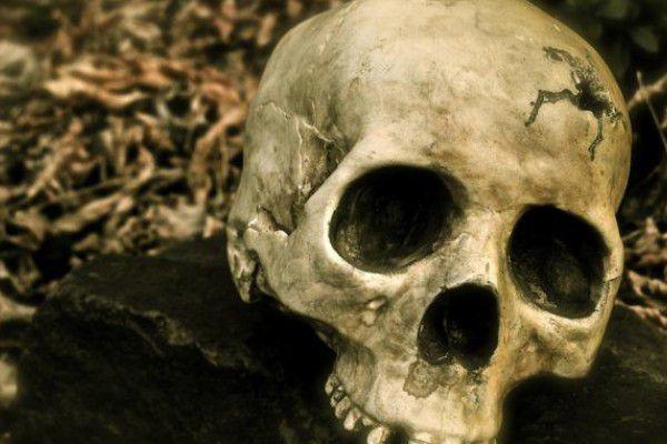 Niat Bikin Konten Misteri, Warga Malang Temukan Kerangka Manusia