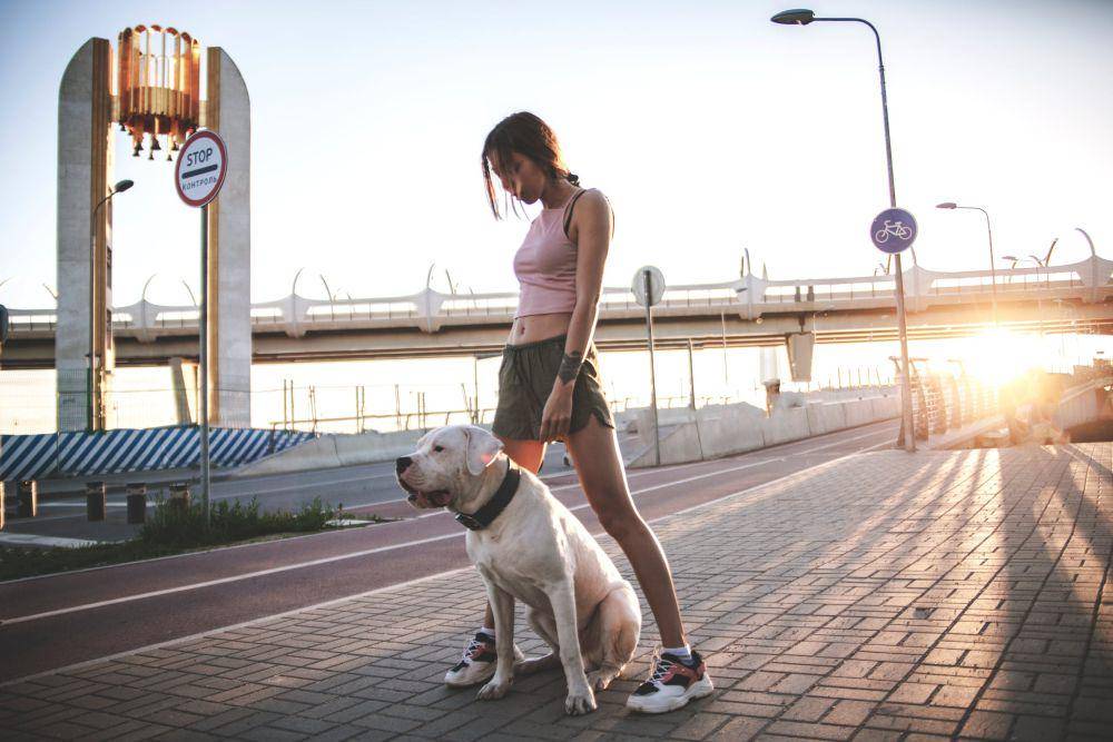 ilustrasi berjalan bersama anjing (pexels.com/Ivan Oboleninov)