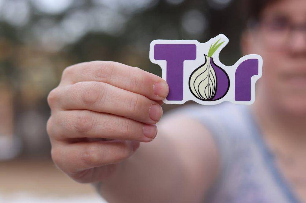 ilustrasi logo Tor (pexels.com/RealToughCandy)
