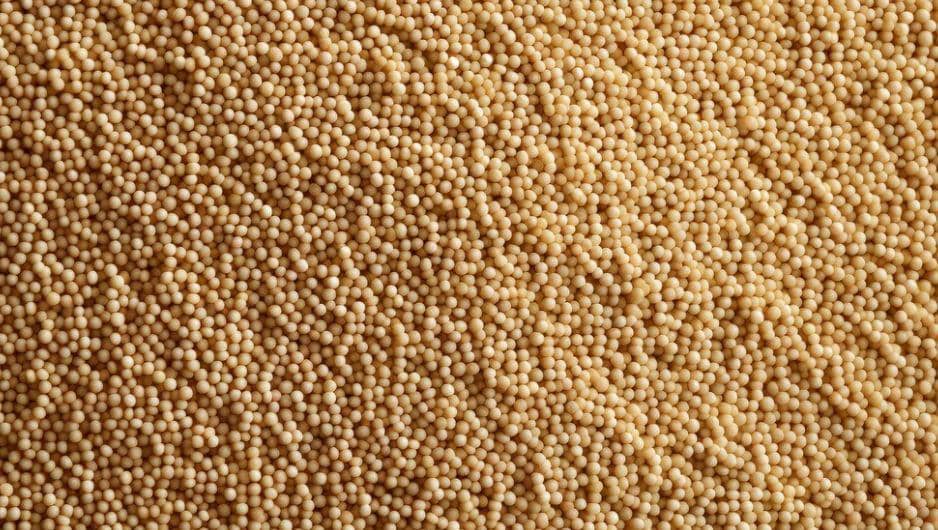 PLN IP Kembangkan Biomassa Sorgum untuk Energi Bersih