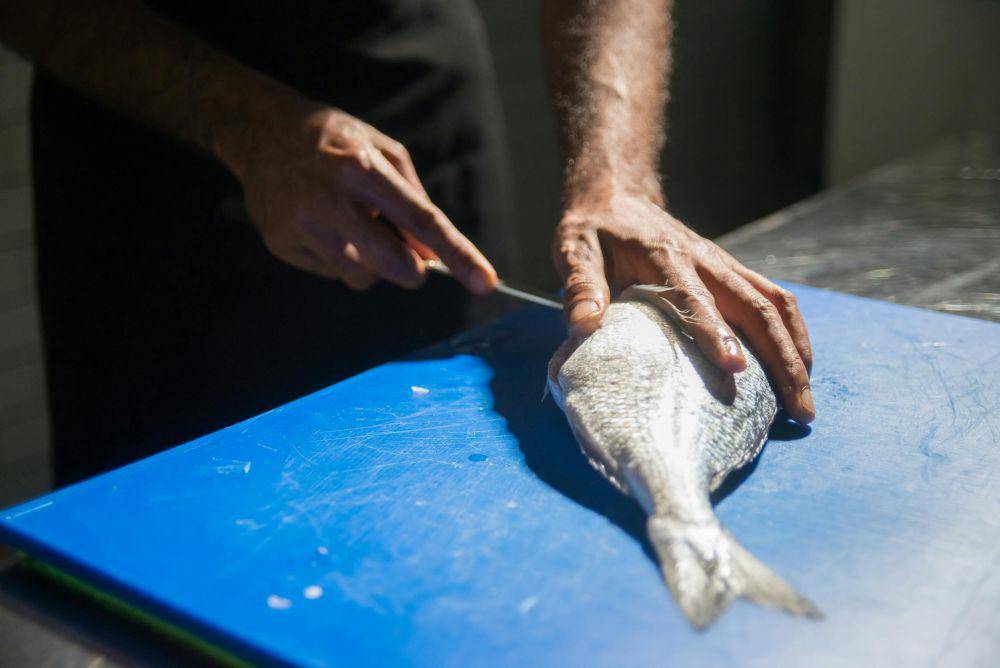 Ilustrasi memotong ikan (pexels.com/Kampus Production)