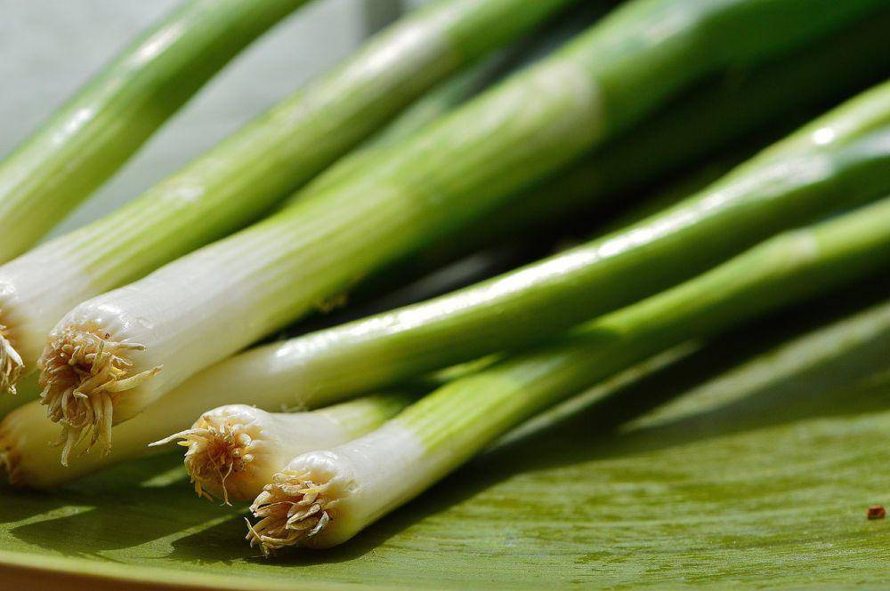 Ilustrasi daun bawang (pixabay.com/Alexas_Fotos)