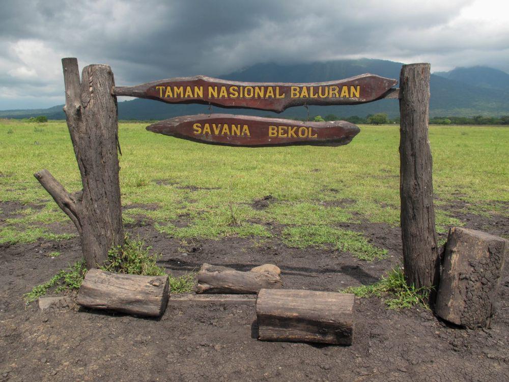 Harga Tiket Masuk Taman Nasional Baluran Naik per 30 Oktober 2024