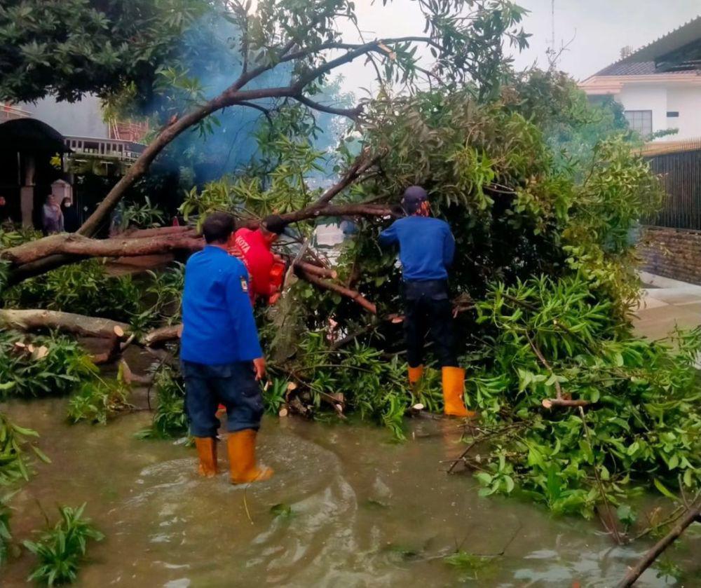Cuaca Ekstrem Picu 31 Pohon di Kota Tangerang Tumbang