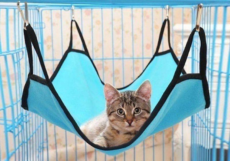 7 Rekomendasi Hammock Kucing, Harga Mulai Rp17 Ribuan!