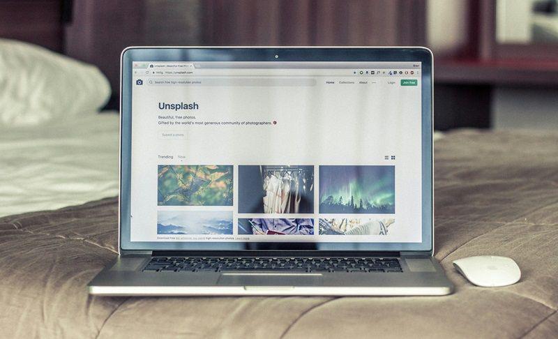 Kenapa Semut Masuk Monitor Laptop? Ini Alasan dan Solusinya