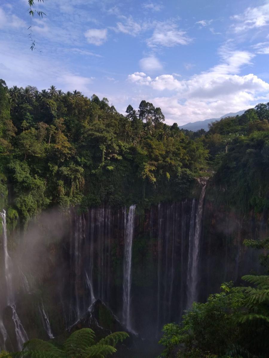 Rute Terbaik Menuju Wisata Air Terjun Tumpak Sewu