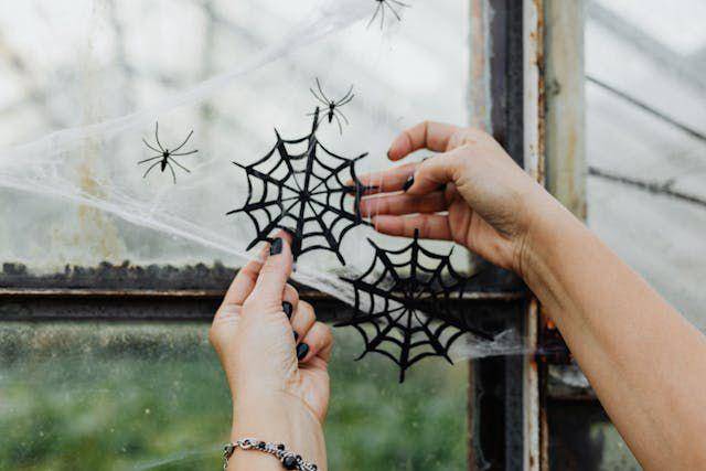ilustrasi hiasan laba-laba (pexels.com/Photo By: Kaboompics.com)