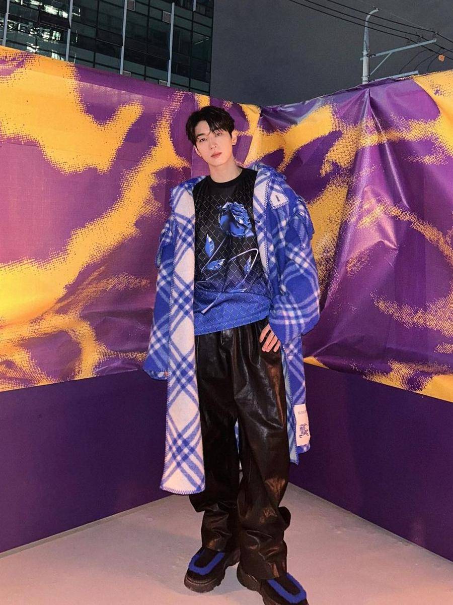 potret Wonwoo SEVENTEEN (instagram.com/everyone_woo)