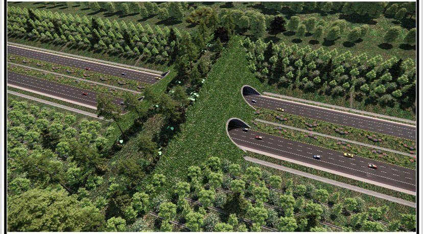 Desain jembatan satwa yang dibangun di atas Jalan Tol Balikpapan-IKN. (Dok. BBPJN)