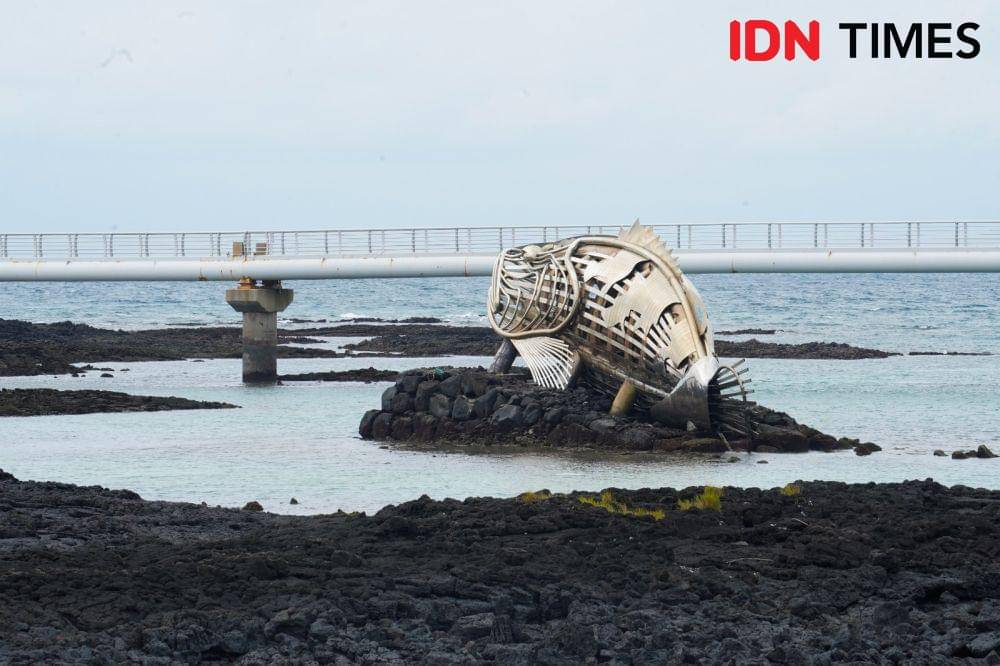 Potret Sinchang Windmill Coastal Road adalah salah satu destinasi menarik di Pulau Jeju, Korea Selatan