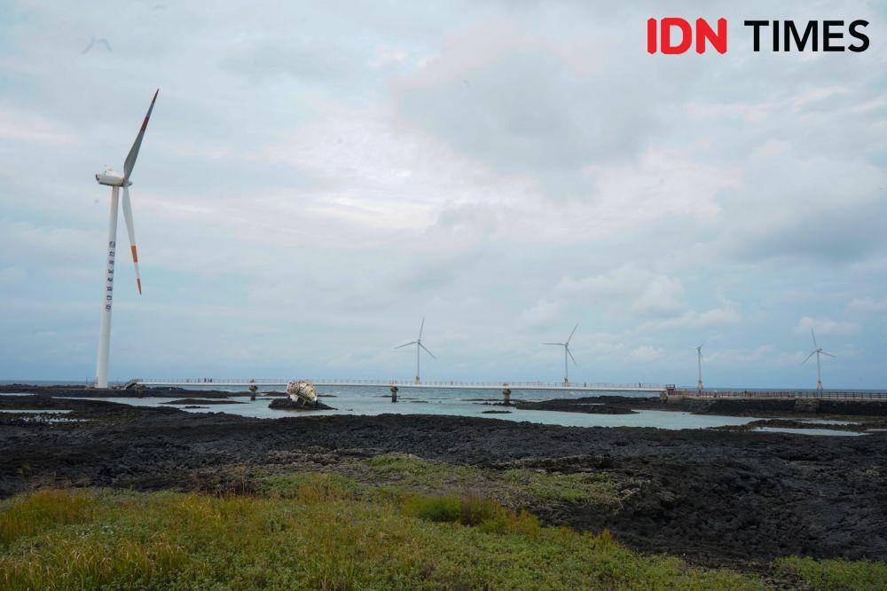 Sinchang Windmill Coastal Road adalah salah satu destinasi menarik di pulau Jeju, Korea Selatan (IDN Times/Fauzan)