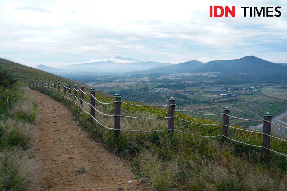 Saebyeol Oreum adalah salah satu gunung berapi kecil yang terletak di pulau Jeju, Korea Selatan. (IDN Times/Fauzan)