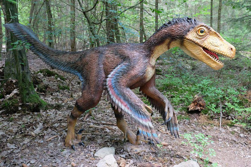 ilustrasi Velociraptor (commons.wikimedia.org / Chrisi1964)