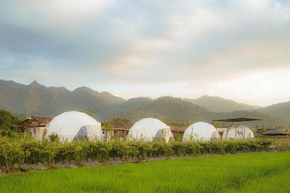 Borobudur Luxury Glamping di Magelang: Rute, Harga, dan Fasilitas