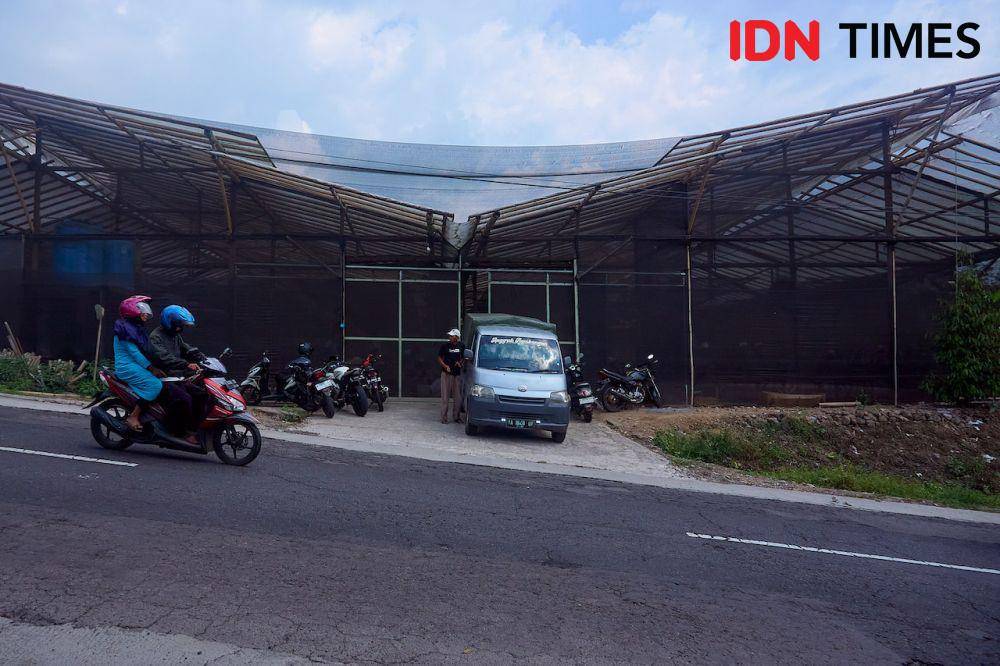 Salah satu greenhouse Anggrek Nambangan di Magelang, Jawa Tengah, Kamis (10/10/2024). (IDN Times/Dhana Kencana)