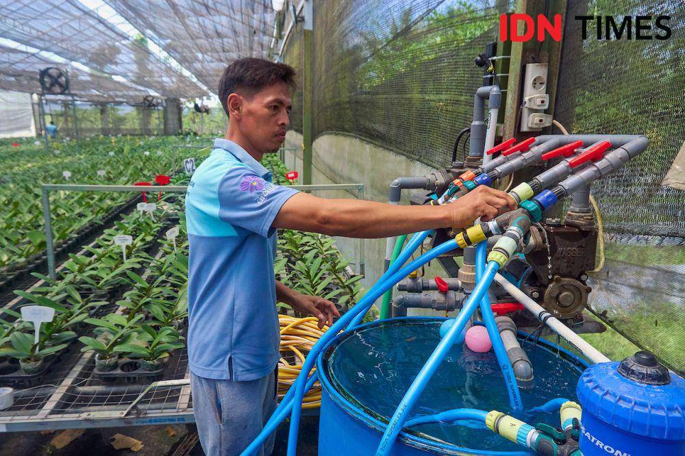 Pegawai Anggrek Nambangan, Sugiharto menghidupkan sistem irigasi otomatis berbasiskan listrik untuk pengairan tanaman hias anggrek di greenhouse di Magelang, Jawa Tengah, Kamis (10/10/2024). (IDN Times/Dhana Kencana)