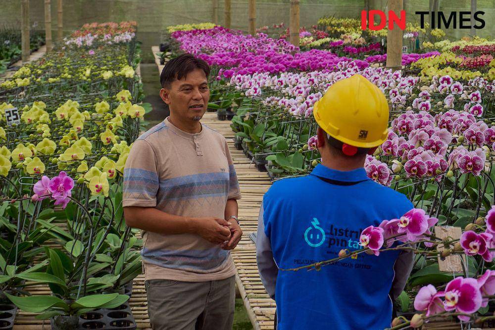 Petani tanaman anggrek, Hasan Sulaiman Syah (kiri) berbicara dengan Petugas PLN, Tumarno (kanan) saat pengecekan daya pada instalasi dan edukasi mengenai elektrifikasi pertanian di greenhouse Anggrek Nambangan di Magelang, Jawa Tengah, Kamis (10/10/2024). (IDN Times/Dhana Kencana)