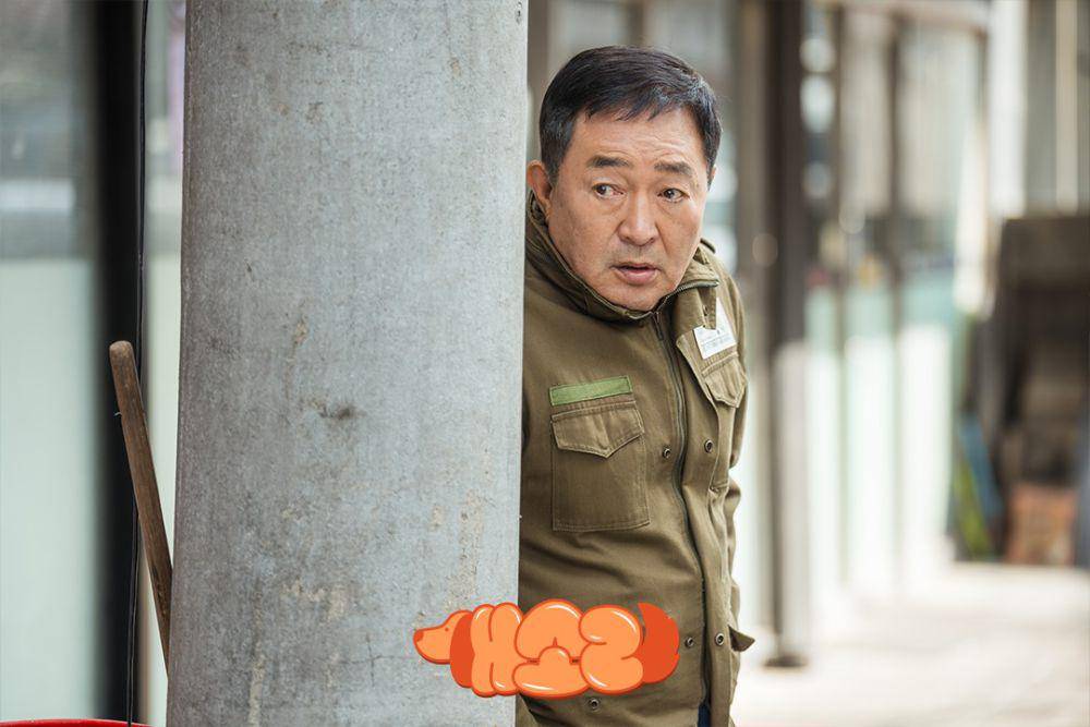 cuplikan drama Korea Dogs Knows Everything (instagram.com/kbsdrama)