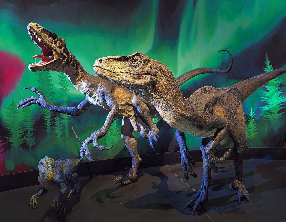 ilustrasi Deinonychus (commons.wikimedia.org / DmytroLeontyev)