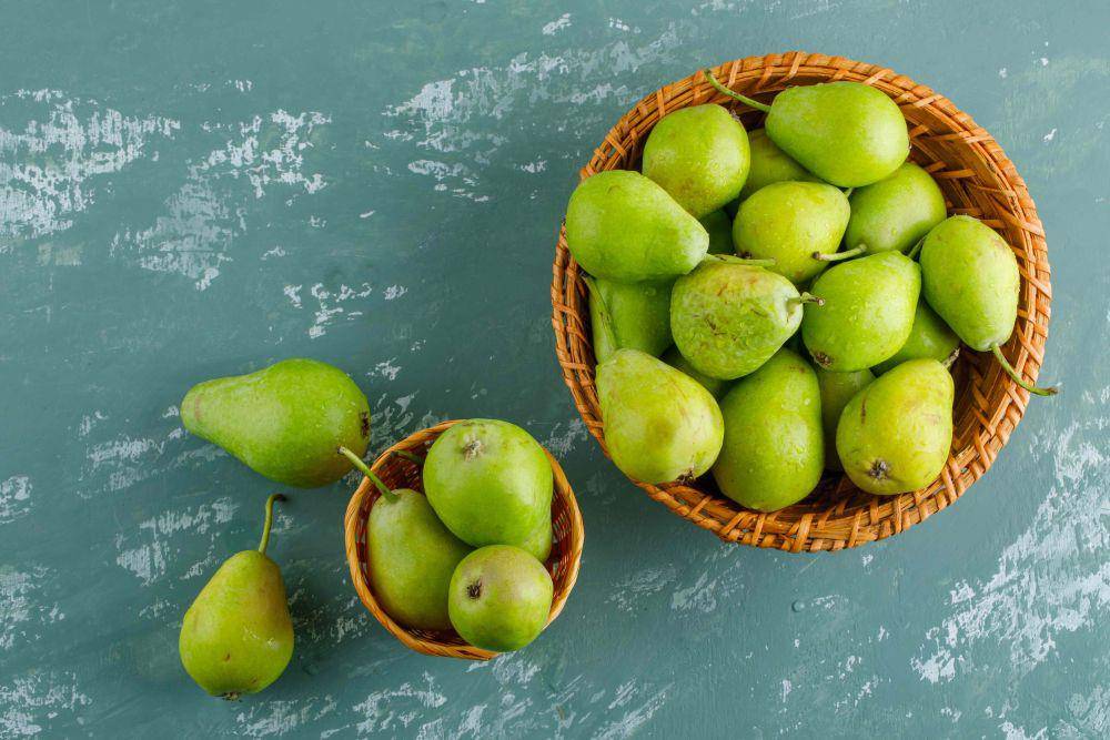 Ilutrasi buah pir (freepik.com/8photo)