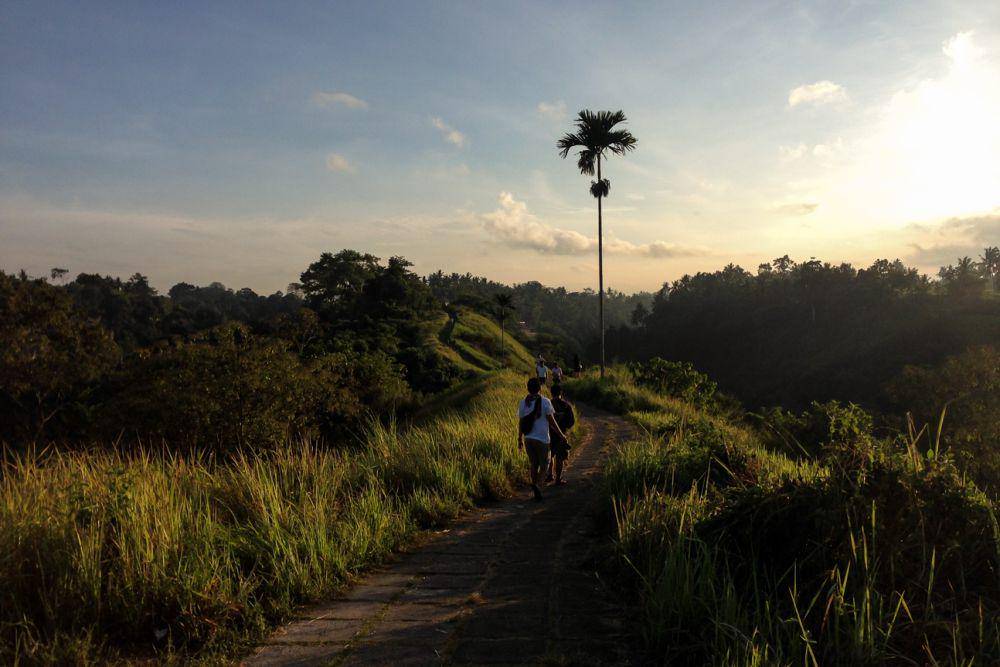 Suasana pagi di Bukit Campuhan (dok.pribadi/Natalia Indah)