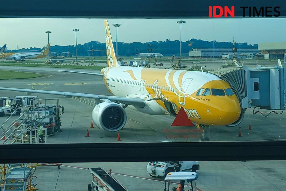 Merasakan Pengalaman Serunya Terbang bersama Scoot Airlines