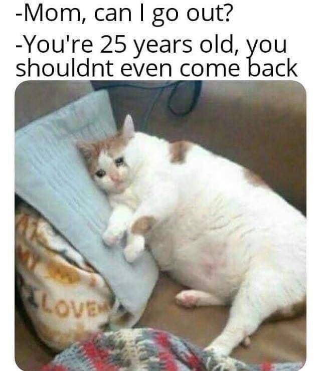 meme hal yang dirasakan orang berumur 25 tahun (reddit.com/deleted)
