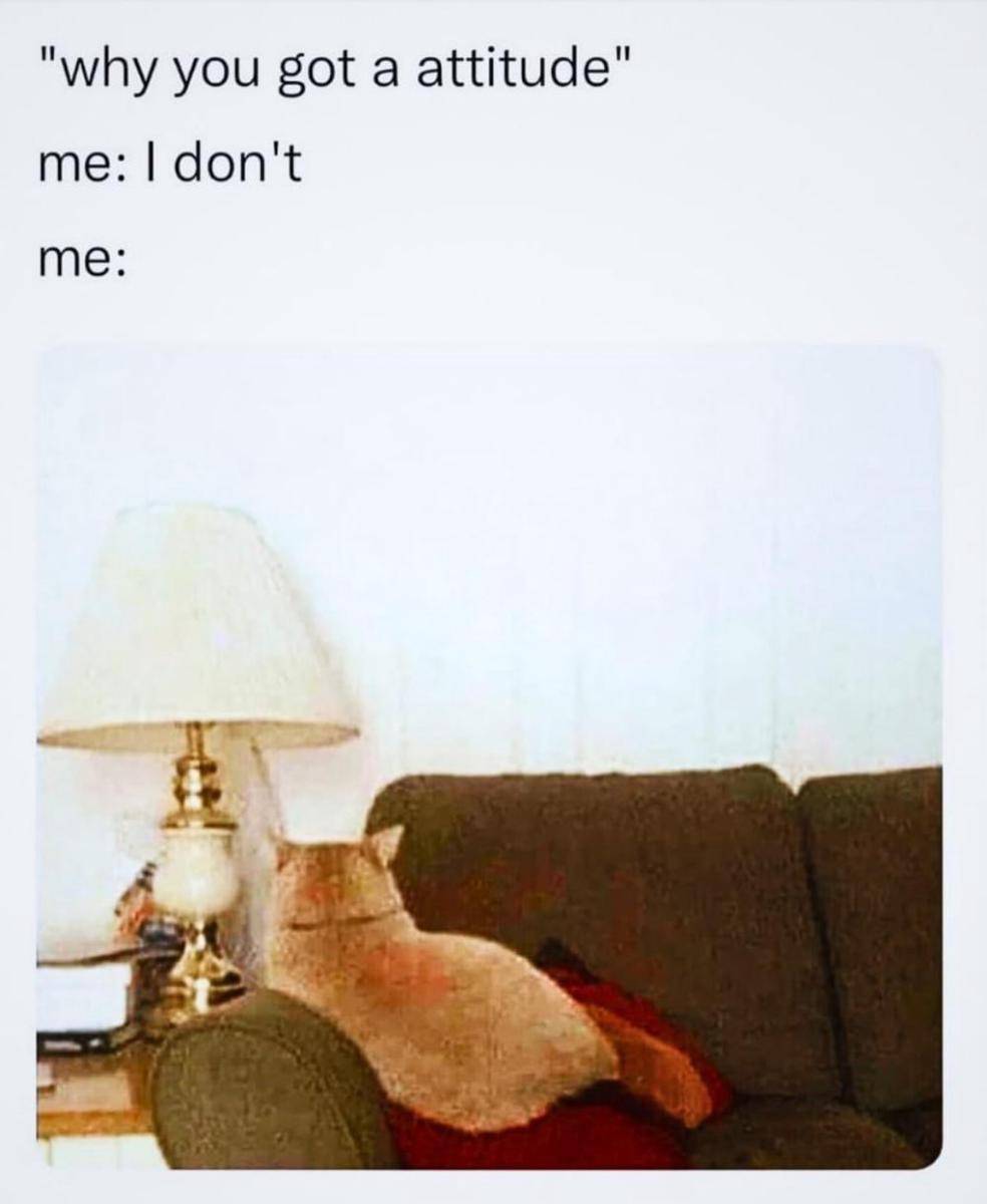 meme silent treatment (x.com/WonderW87800751)