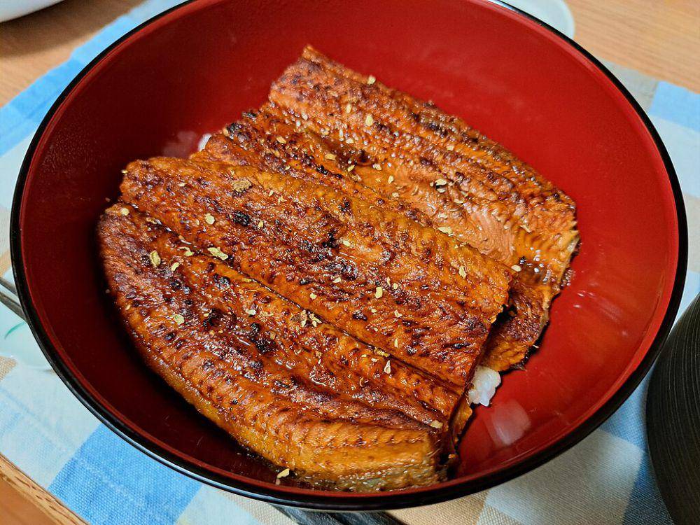 ilustrasi unagi (commons.wikimedia.org/