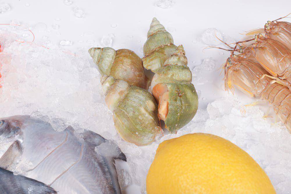 ilustrasi kerang tsubugai (pexels.com/Change C.C)
