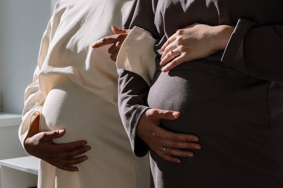 Ilustrasi maternity photo (Pexels.com/cottonbro studio)
