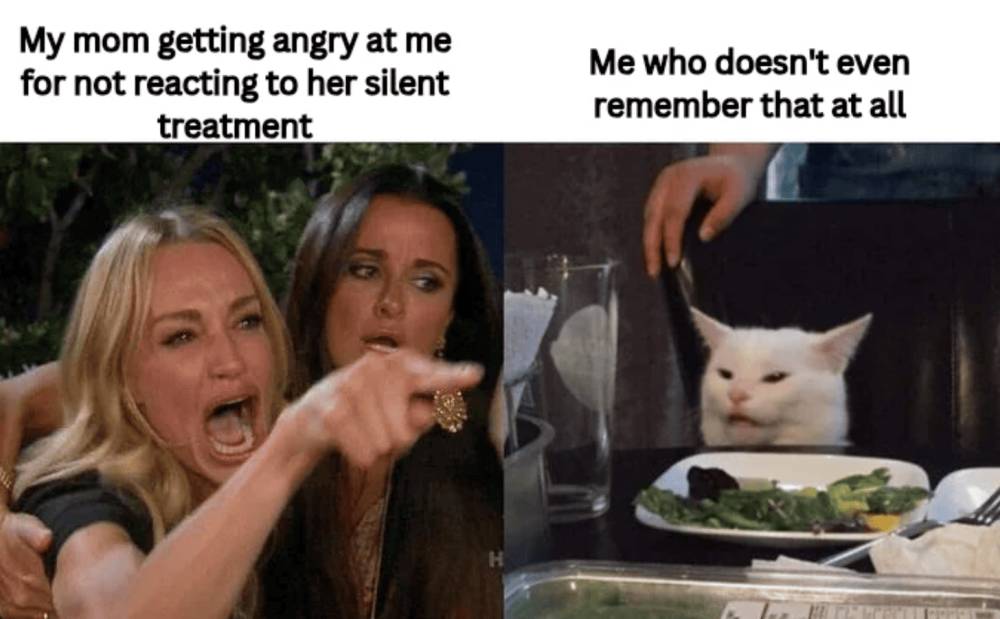 meme silent treatment (reddit.com/i-am-a-passenger)