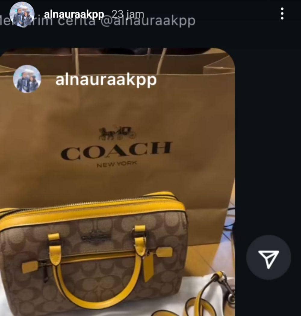 Selebgram Palembang ditangkap atas kasus investasi bodong (Dok: Alnauraakkp)