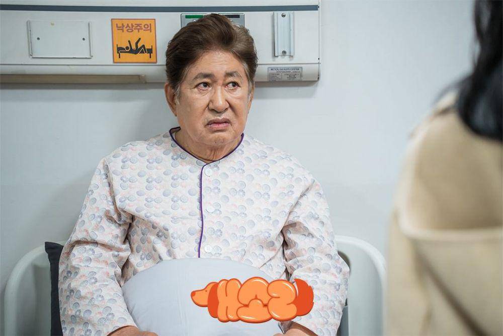 still cut drakor Dog Knows Everything (instagram.com/kbsdrama)