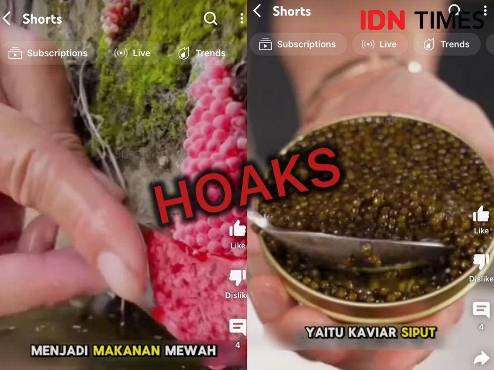 [Cek Fakta] Video Kaviar Berbahan Dasar Telur Siput Sawah