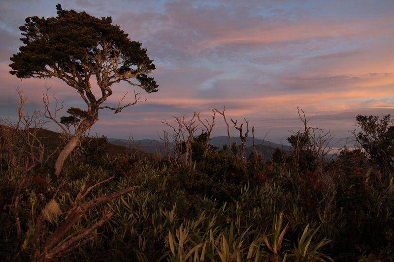 Taman Nasional Gunung Leuser (commons.m.wikimedia.org/gbohne)