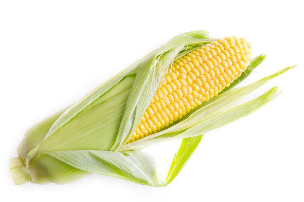 jagung (pexels.com/mali maeder)