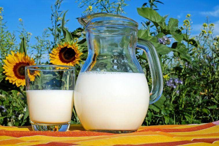 Ilustrasi susu sapi (Pixabay)