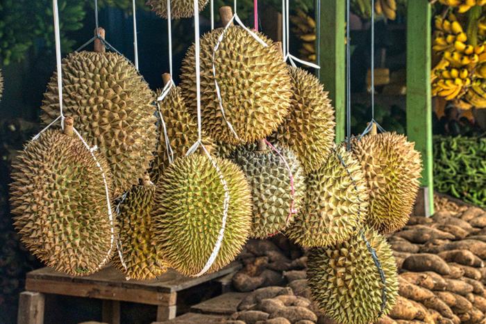 [QUIZ] Pilih Olahan Durian Favoritmu, Kami Bakal Ungkap Sifat Aslimu!