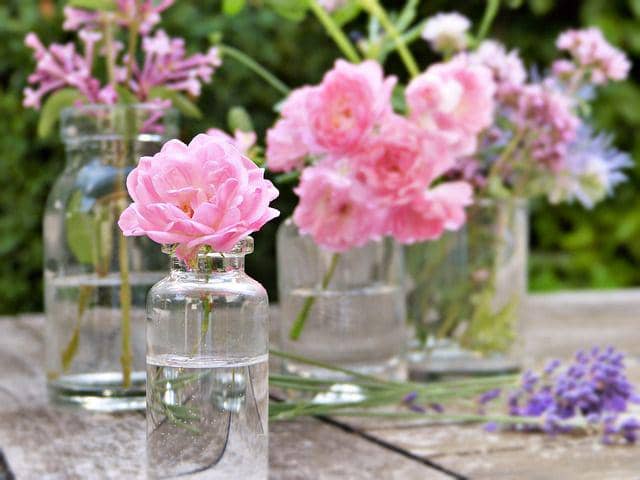 ilustrasi parfum (pixabay.com/joanna)