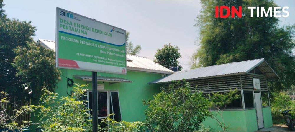 Desa energi berdikari Pertamina di Semambu (IDN Times/Feny Maulia Agustin)