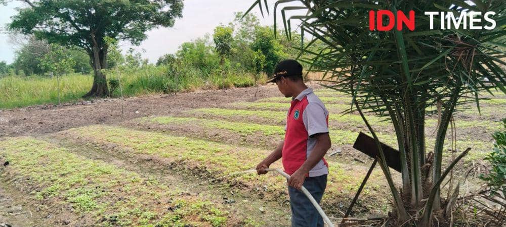 Energi Sinar Surya Pertamina, Hapus Kekeringan di Desa Pulau Semambu