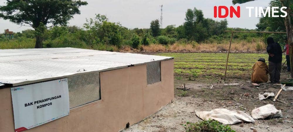 Energi Sinar Surya Pertamina, Hapus Kekeringan di Desa Pulau Semambu