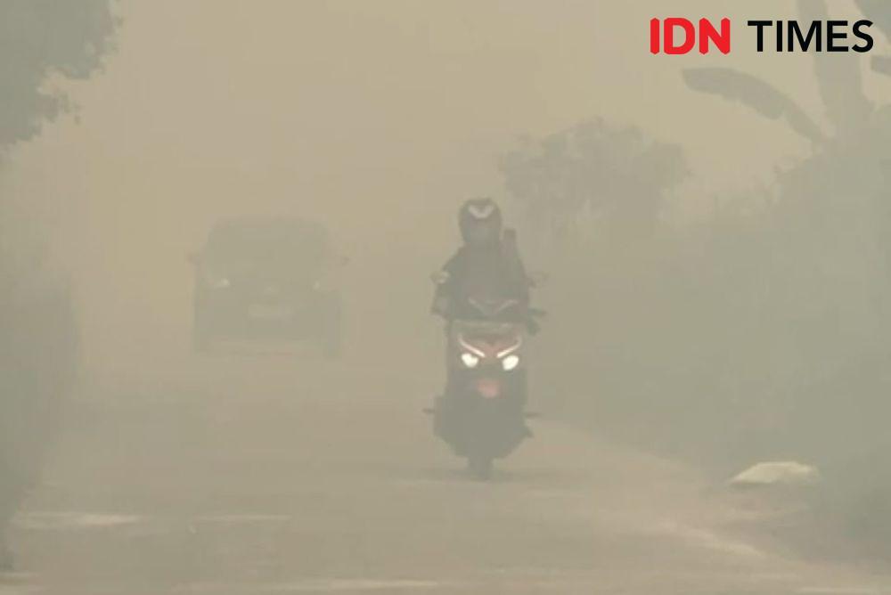 Kabut asap semakin tebal akibat karhutla. (IDN Times/istimewa).
