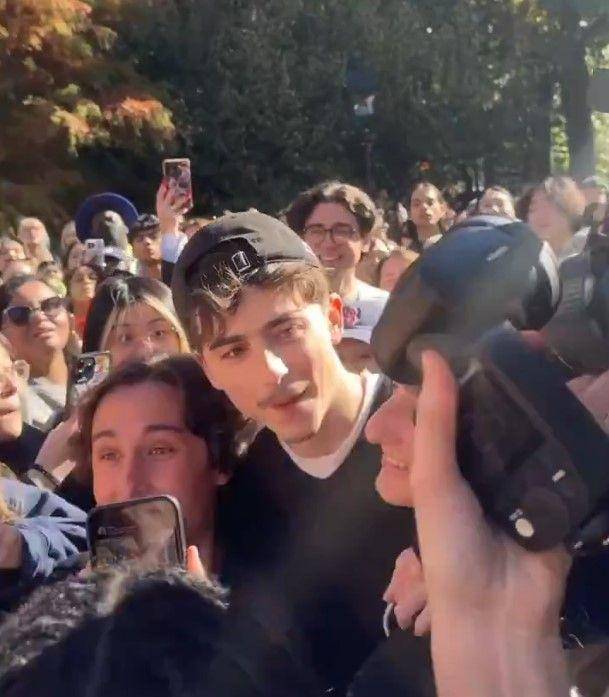 kronologi kontes mirip Timothee Chalamet berakhir ricuh (x.com/anthpo)